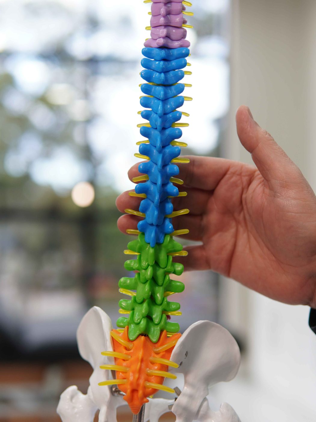 Fisioterapia · coluna